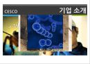 [경영,경제] cesco[세스코] 기업분석 4페이지