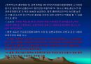 정책분석 - 금연정책 분석 23페이지