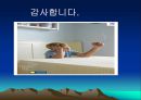 정책분석 - 금연정책 분석 31페이지