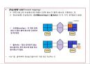 [영상처리 기법] 기하학 처리 4페이지