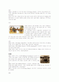 [자동차이야기] 자동차의 역사와 진화 2페이지