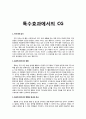 영상 - 특수효과에서의 CG에 대해 1페이지