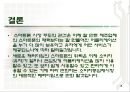 스마트폰  운영체제와  스마트폰의 종류 18페이지