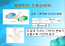 기초 전기전자공학 - 직류 교류 발전기 3페이지