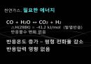 천연가스 수증기 개질공정 설계 및 분석.ppt 17페이지