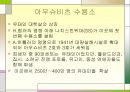히틀러의 생애에 대해서 - 아돌프 히틀러(1889~1945).ppt 14페이지