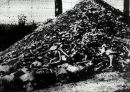 히틀러의 생애에 대해서 - 아돌프 히틀러(1889~1945).ppt 18페이지