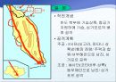 태평양전쟁 분석 및 교훈.ppt 30페이지
