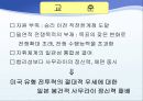 태평양전쟁 분석 및 교훈.ppt 44페이지