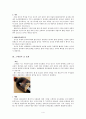 세계의 음식 문화 - 스페인의 음식 문화 4페이지