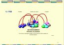 인간행동과 사회환경 - 장 피아제(jean piaget)의 인지발달 이론 정리.ppt 12페이지