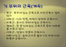[운동과 건강] 휘트니스 트레이닝과 단계별 운동 프로그램.ppt 5페이지
