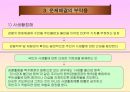 [지역경찰] 지역사회경찰활동의 한계.ppt 9페이지