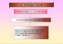 [지역경찰] 지역사회경찰활동의 한계.ppt 21페이지
