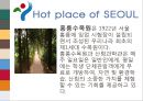도시소개 - 서울에 대해서 (Welcome to SEOUL).ppt 15페이지