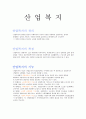 [사회복지개론] 산업복지 1페이지