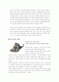 [인간행동과 사회환경] 조손가정 조사 10페이지