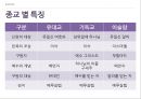 [종교] 국제 커뮤니케이션 - 유대교, 가톨릭, 그리스정교, 이슬람, 기독교의 관계.ppt 11페이지