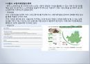 [노인복지] 소득보장정책 현행 및 문제점.ppt 56페이지
