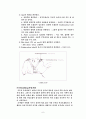 [구급법] 심폐소생술, CPR에 대해서 9페이지