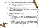 [뇌손상] 뇌손상 재활[Rehabilitation of TBI], 뇌손상의 종류와 원인 및 증상, 또는 치료에 관해 15페이지