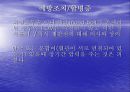 [뇌손상] 외상성 뇌손상[TBI]에 관해 30페이지