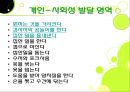 [감각통합과 아동] DDST[Denver Developmental Screening Test]-Ⅱ에 관해 9페이지
