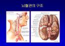 [뇌손상] 뇌졸중[중풍]이란 - 재활의학적 관점 9페이지