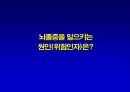 [뇌손상] 뇌졸중[중풍]이란 - 재활의학적 관점 10페이지