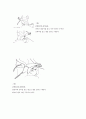 [소아물리치료] 진행성 근 이영양증[PMD] 환자에 대한 이해와 운동치료 4페이지