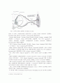 [의학] Spasticity[경직] - 경직의 정의와 기전, 경직과 강직의 차이, 자세 및 동작에 미치는 영향 6페이지