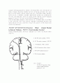 [의학] 척수의 신경로[Tracts of the Spinal Cord], 뇌의 기능 4페이지