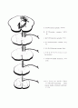 [의학] 척수의 신경로[Tracts of the Spinal Cord], 뇌의 기능 5페이지