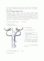 [의학] 척수의 신경로[Tracts of the Spinal Cord], 뇌의 기능 16페이지