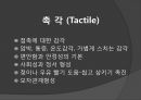 [의학] 감각통합[Sensory Integration]에 대해서 3페이지