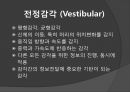[의학] 감각통합[Sensory Integration]에 대해서 5페이지