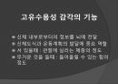 [의학] 감각통합[Sensory Integration]에 대해서 8페이지