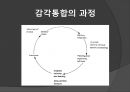 [의학] 감각통합[Sensory Integration]에 대해서 11페이지