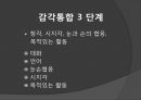 [의학] 감각통합[Sensory Integration]에 대해서 15페이지