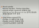 [의학] 반사[REFLEX]에 관해서 3페이지