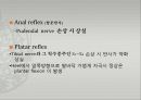 [의학] 반사[REFLEX]에 관해서 16페이지
