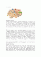 분자생물학 - 세포간의 상호관계를 유지하기 위해서 필요한 신호전달체계[signal transduction]에 대해서 18페이지