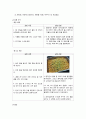발효미생물학 - 종균 배양 및 콩 koji 제조 2페이지