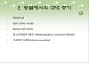 [소아물리치료] 보행에서  Central Pattern Generator [CPG]에 대한 이해 5페이지