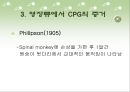 [소아물리치료] 보행에서  Central Pattern Generator [CPG]에 대한 이해 14페이지
