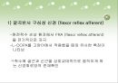 [소아물리치료] 보행에서  Central Pattern Generator [CPG]에 대한 이해 18페이지