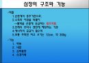 [의학] 심장의 구조와 기능, 심장 질환에 관해 2페이지