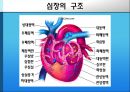 [의학] 심장의 구조와 기능, 심장 질환에 관해 3페이지