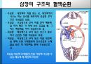 [의학] 심장의 구조와 기능, 심장 질환에 관해 6페이지
