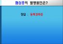 [의학] 심장의 구조와 기능, 심장 질환에 관해 15페이지